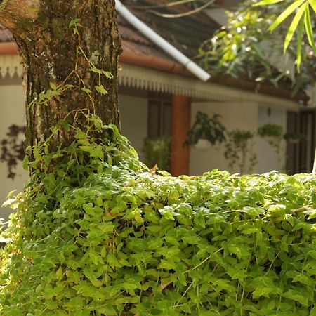 Mi Casa Tu Casa Homestay Коччи Экстерьер фото